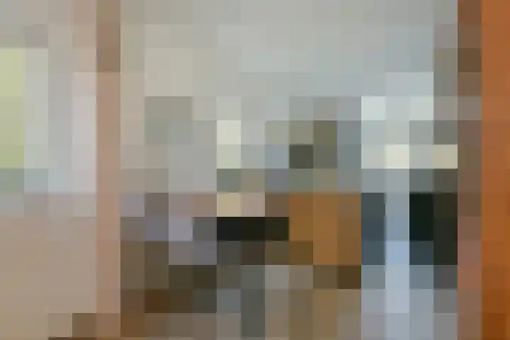 Muntstraat 34 c Wijk bij Duurstede thumbnail 5