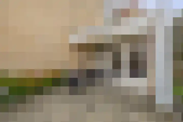 Muntstraat 56 G Tegelen thumbnail 18