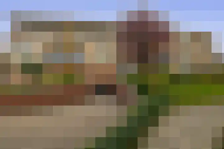 Muntstraat 56 G Tegelen thumbnail 20