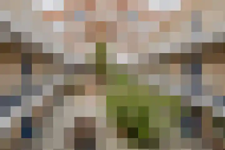Muntstraat 56 G Tegelen thumbnail 21