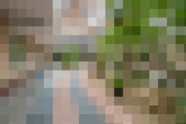 Muntstraat 56 G Tegelen thumbnail 22