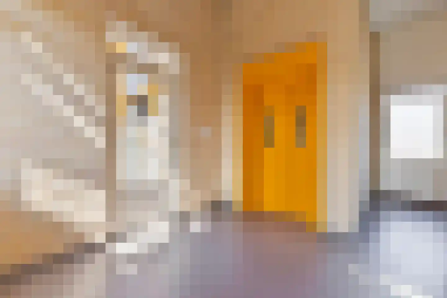 Muntstraat 58 J Tegelen thumbnail 6