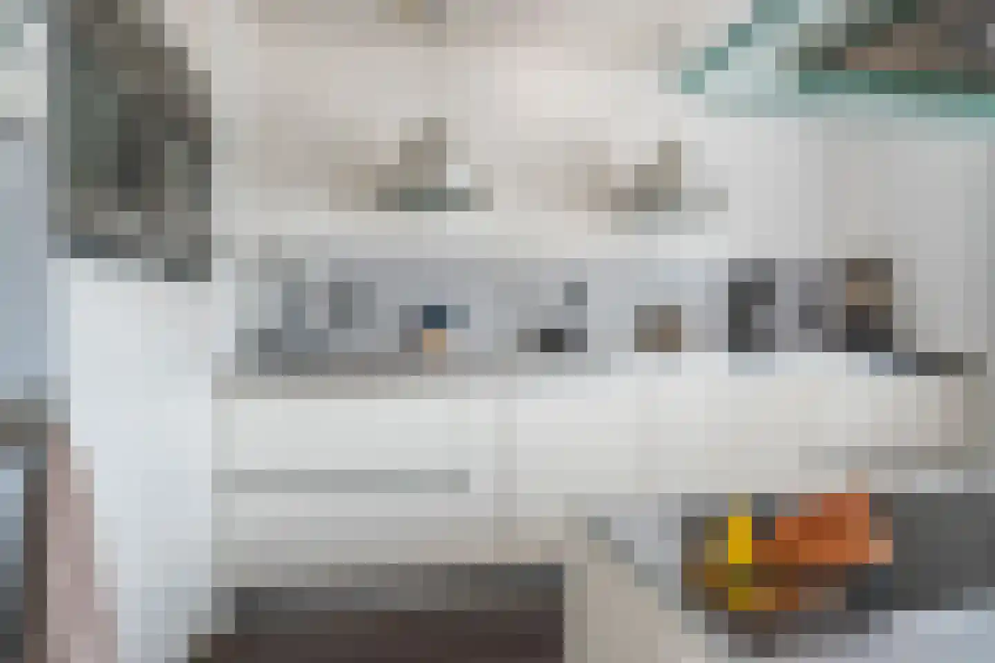 Muntstraat 7 Lisserbroek thumbnail 10