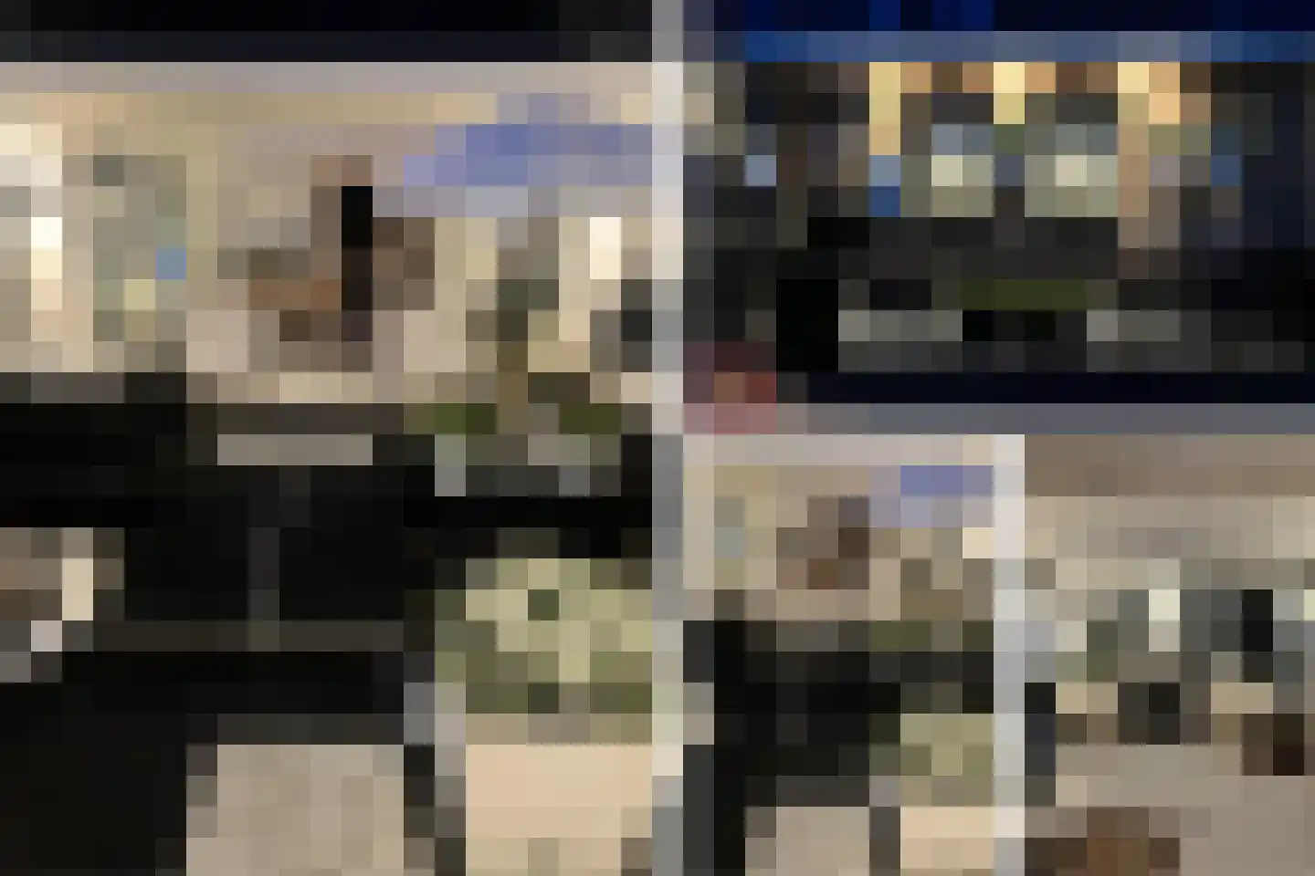 Muntstraat 7 Lisserbroek thumbnail 23