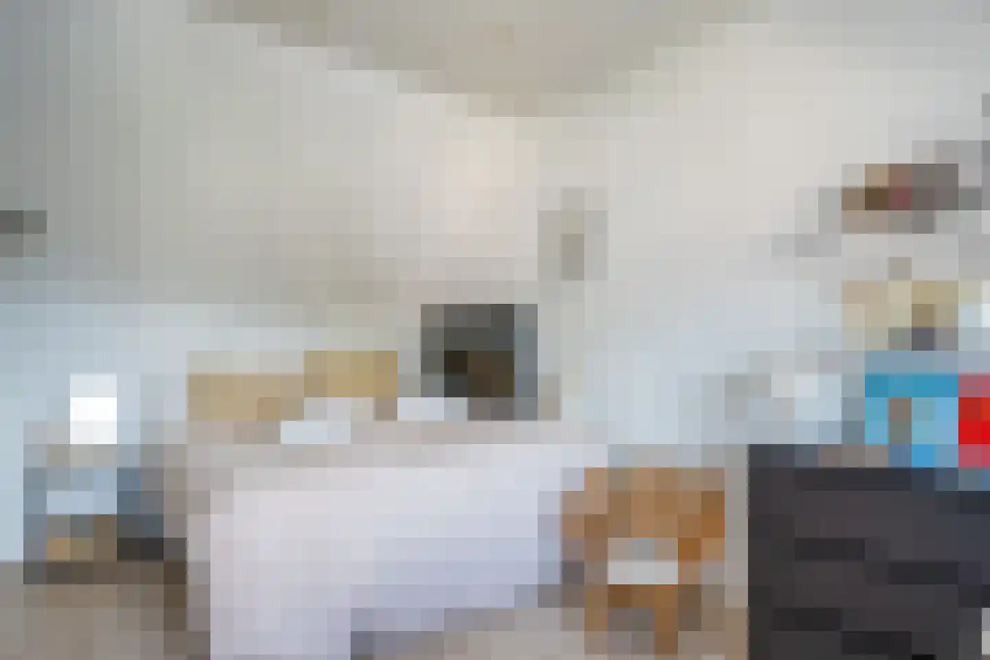 Muntstraat 7 Lisserbroek thumbnail 35