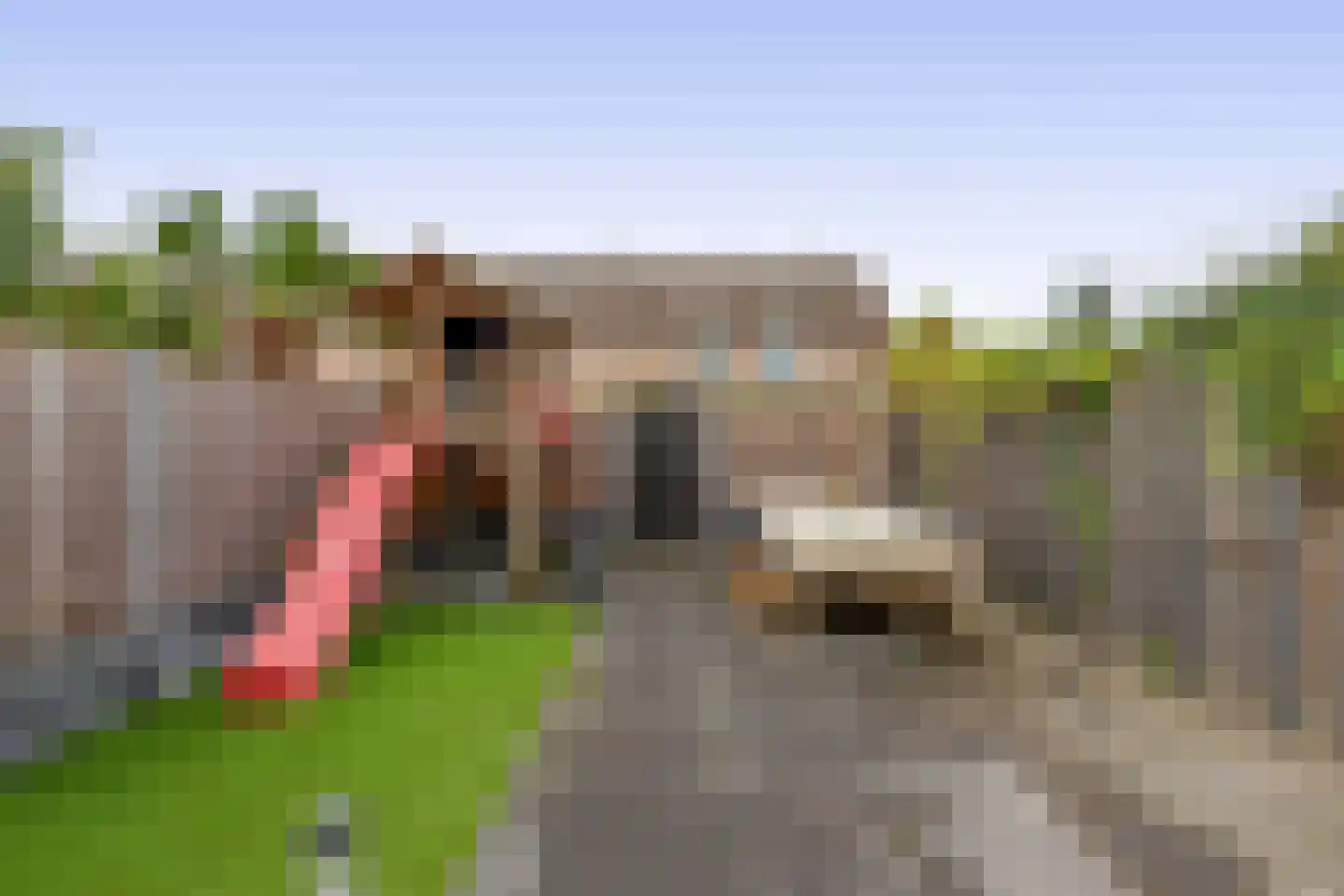 Muntstraat 74 Lisserbroek thumbnail 4