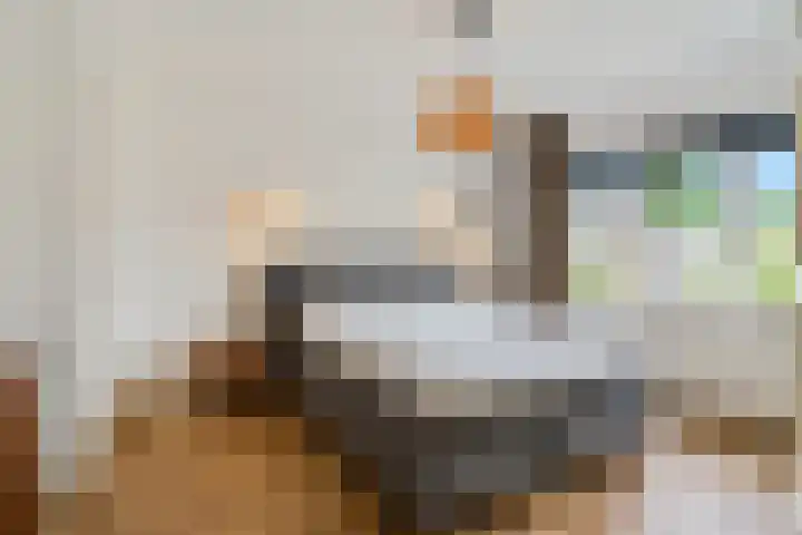 Muntweg 46 Nijmegen thumbnail 18
