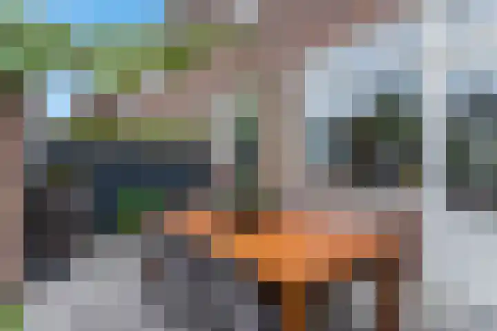 Muntweg 46 Nijmegen thumbnail 30