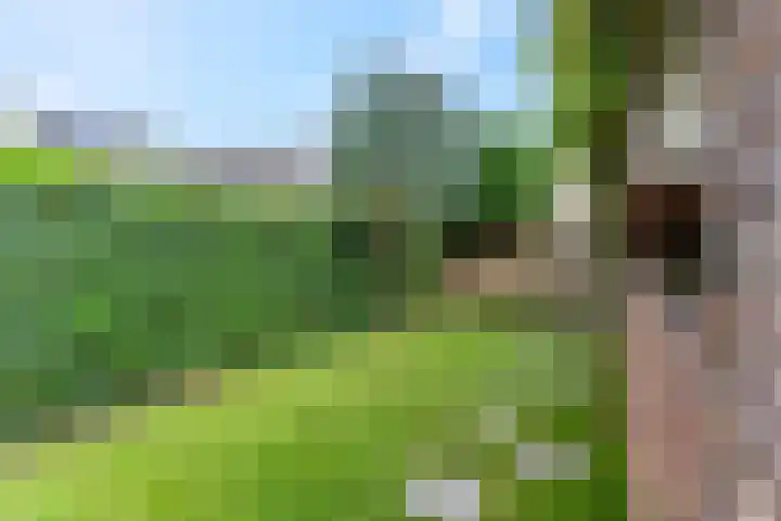 Muntweg 46 Nijmegen thumbnail 32
