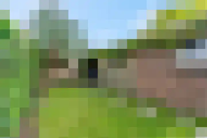 Muntweg 46 Nijmegen thumbnail 33