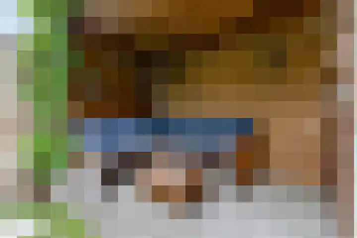 Muntweg 46 Nijmegen thumbnail 34