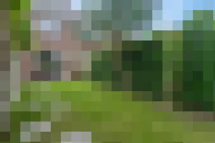 Muntweg 46 Nijmegen thumbnail 35