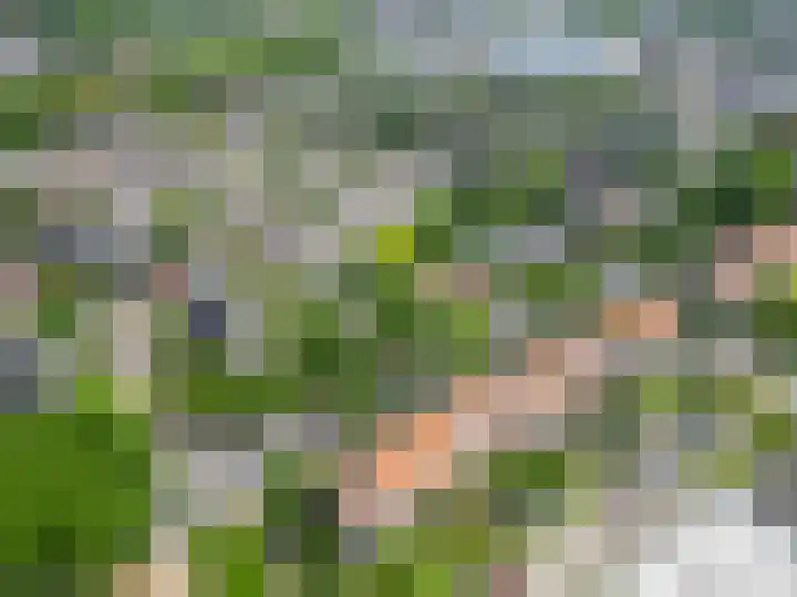 Muntweg 46 Nijmegen thumbnail 43
