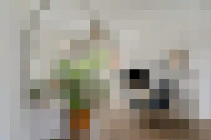Muntweg 46 Nijmegen thumbnail 7