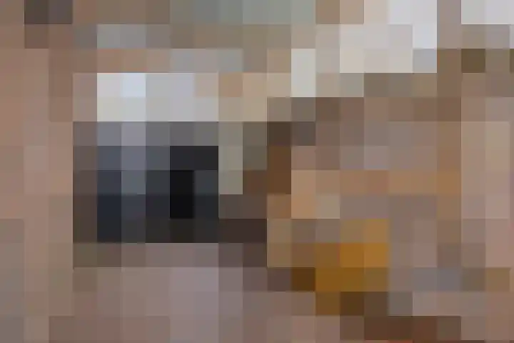 Muntweg 478 Nijmegen thumbnail 32