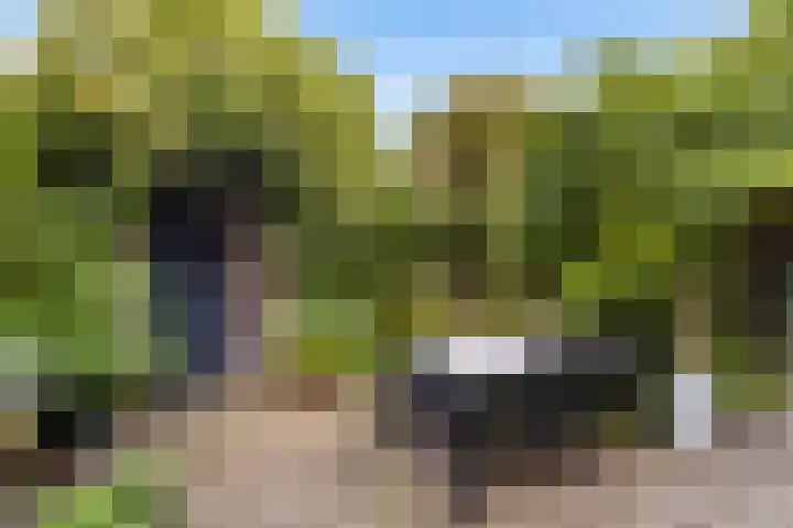Muntweg 492 Nijmegen thumbnail 30