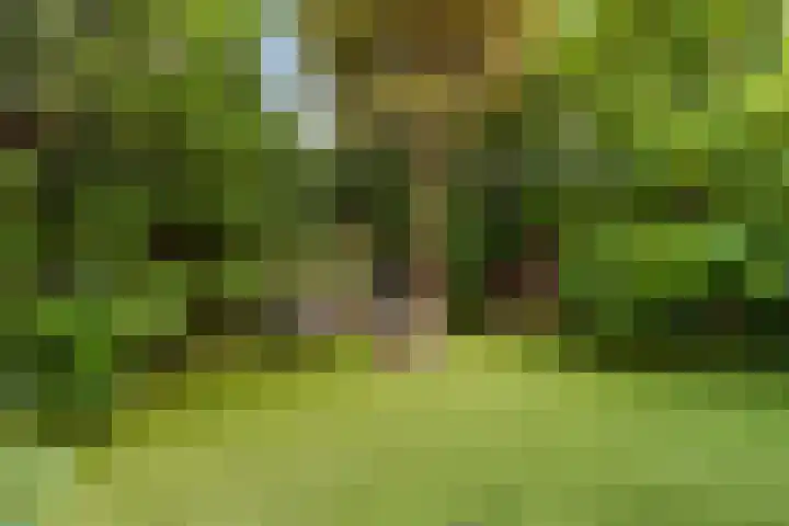 Muntweg 492 Nijmegen thumbnail 31