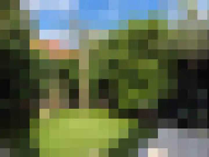 Muntweg 492 Nijmegen thumbnail 34
