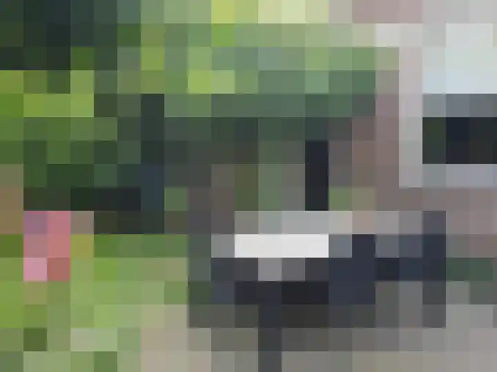 Muntweg 492 Nijmegen thumbnail 36