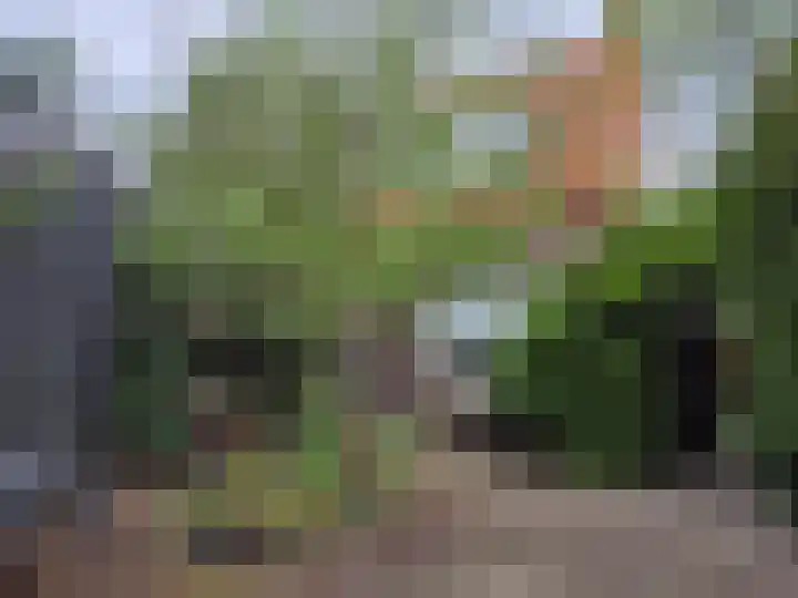 Muntweg 492 Nijmegen thumbnail 7
