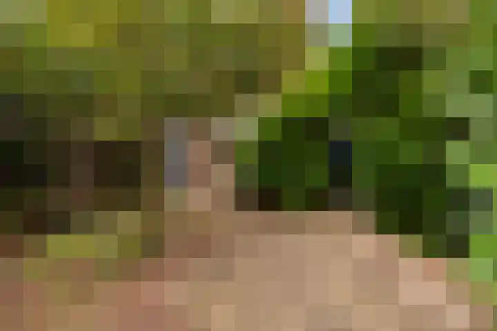 Muntweg 492 Nijmegen thumbnail 8