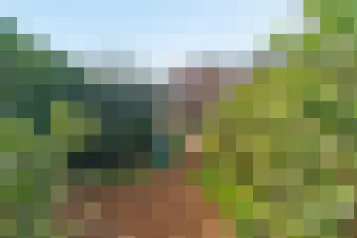 Muntweg 50 Nijmegen thumbnail 37