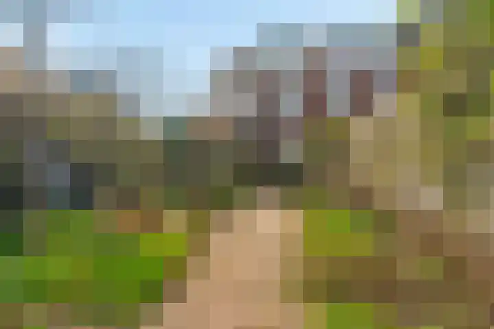 Muntweg 50 Nijmegen thumbnail 38