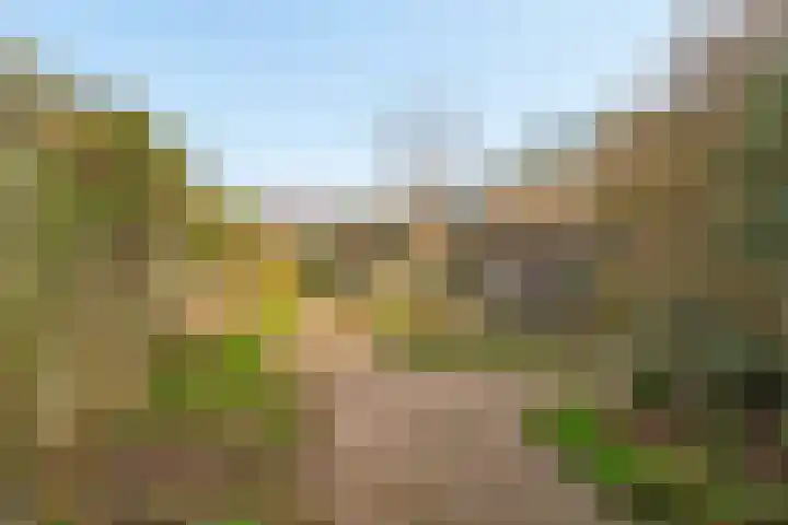 Muntweg 50 Nijmegen thumbnail 39