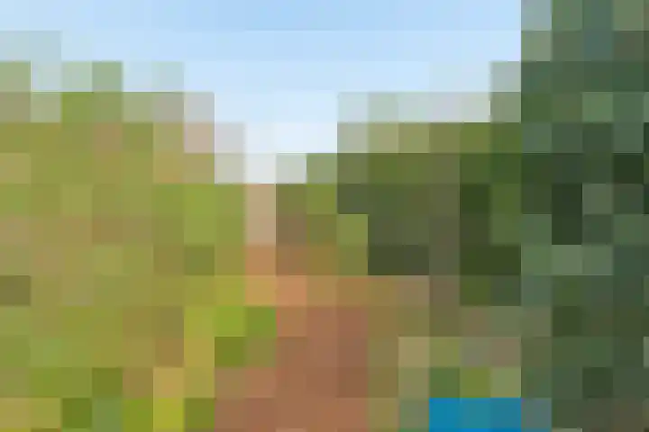 Muntweg 50 Nijmegen thumbnail 42