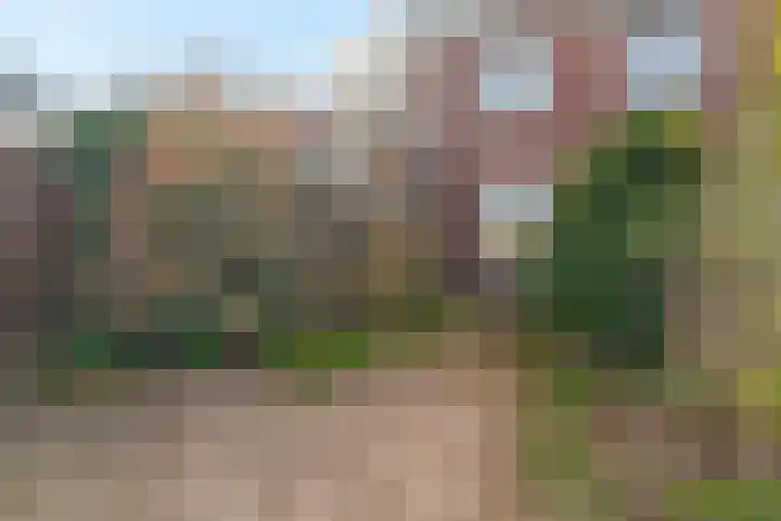 Muntweg 50 Nijmegen thumbnail 46