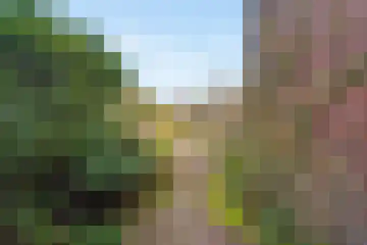 Muntweg 50 Nijmegen thumbnail 48