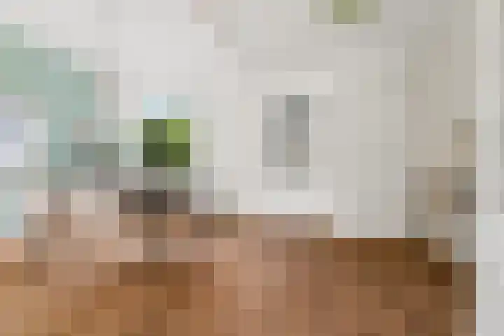 Muntweg 50 Nijmegen thumbnail 5