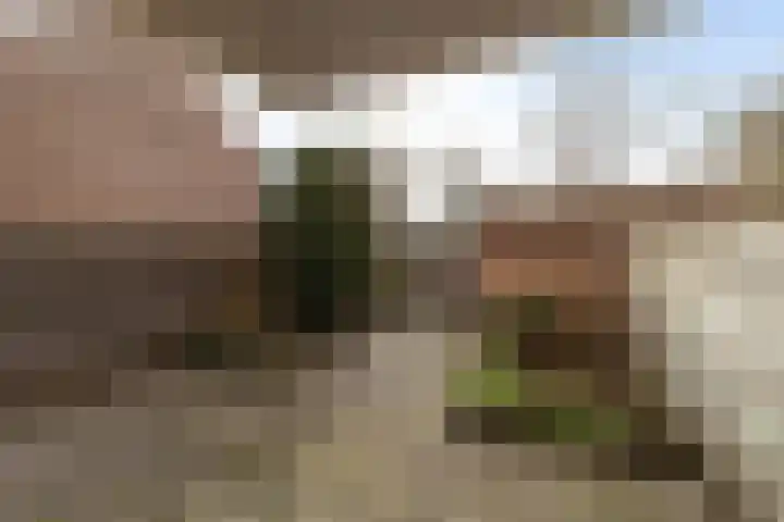 Muntweg 67 Nijmegen thumbnail 6
