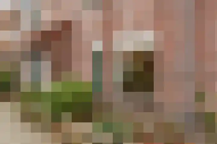 Muntweg 69 Nijmegen thumbnail 7