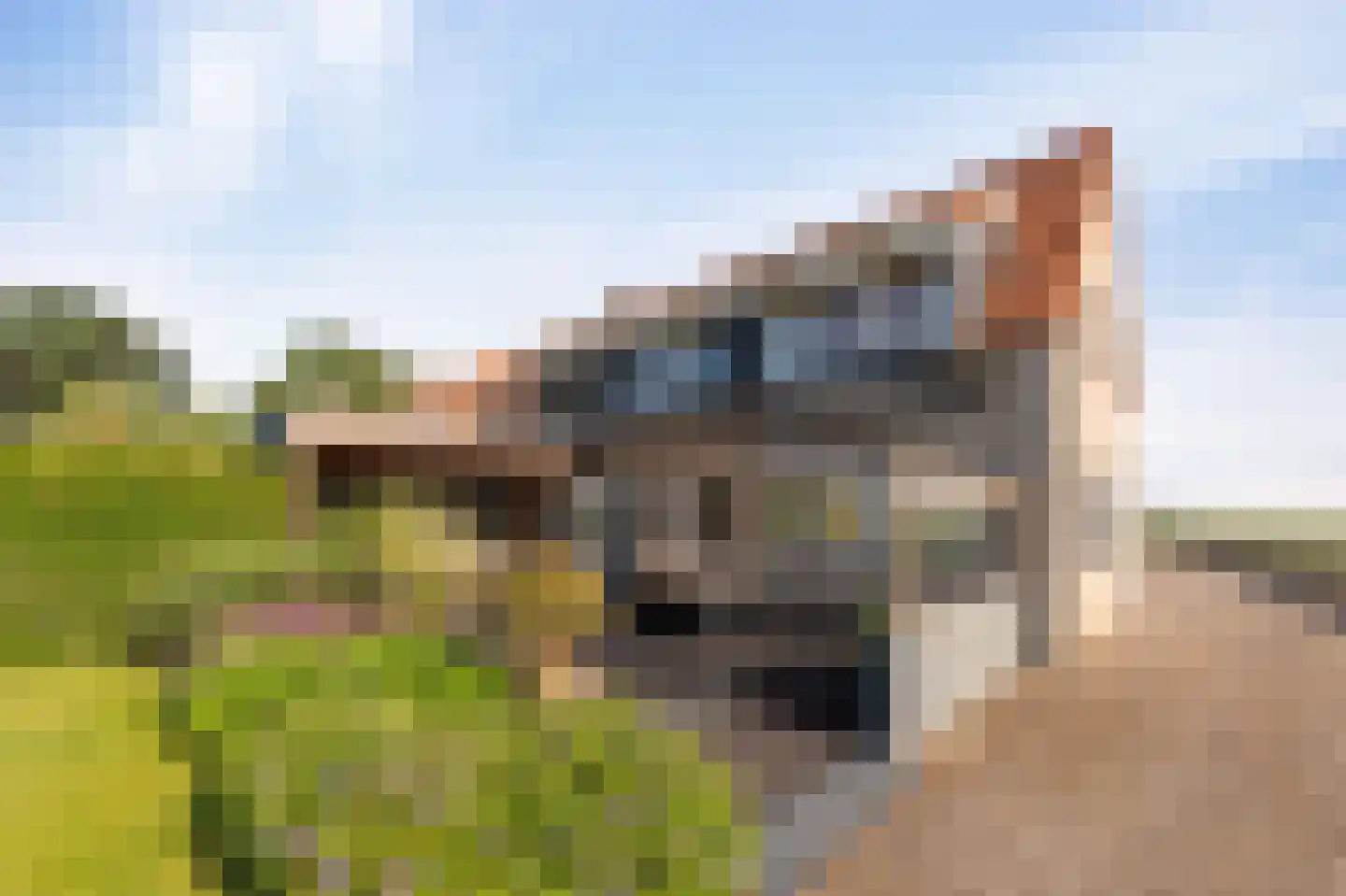 Muntweg 7 F Emmeloord thumbnail 10