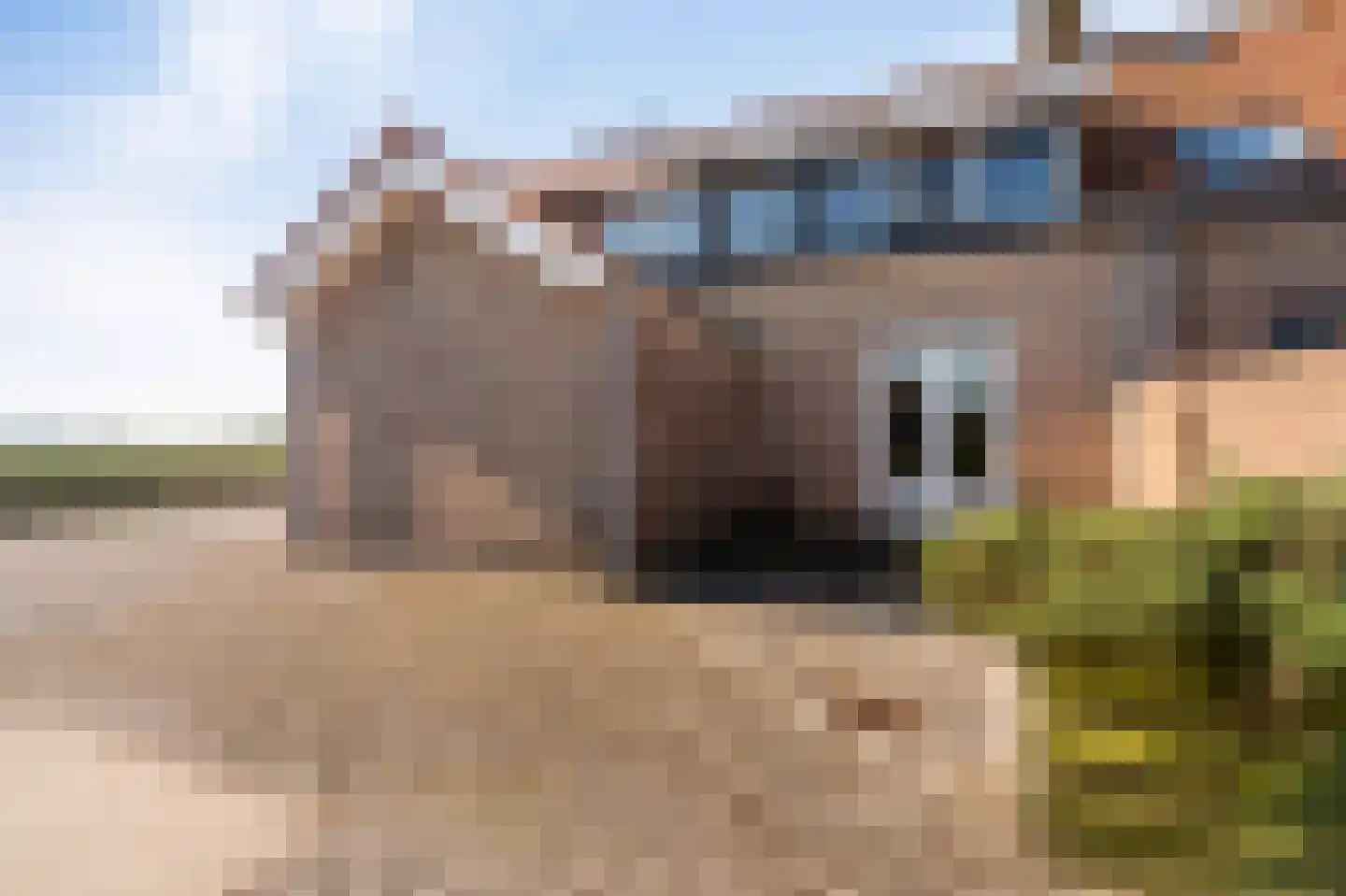 Muntweg 7 F Emmeloord thumbnail 34