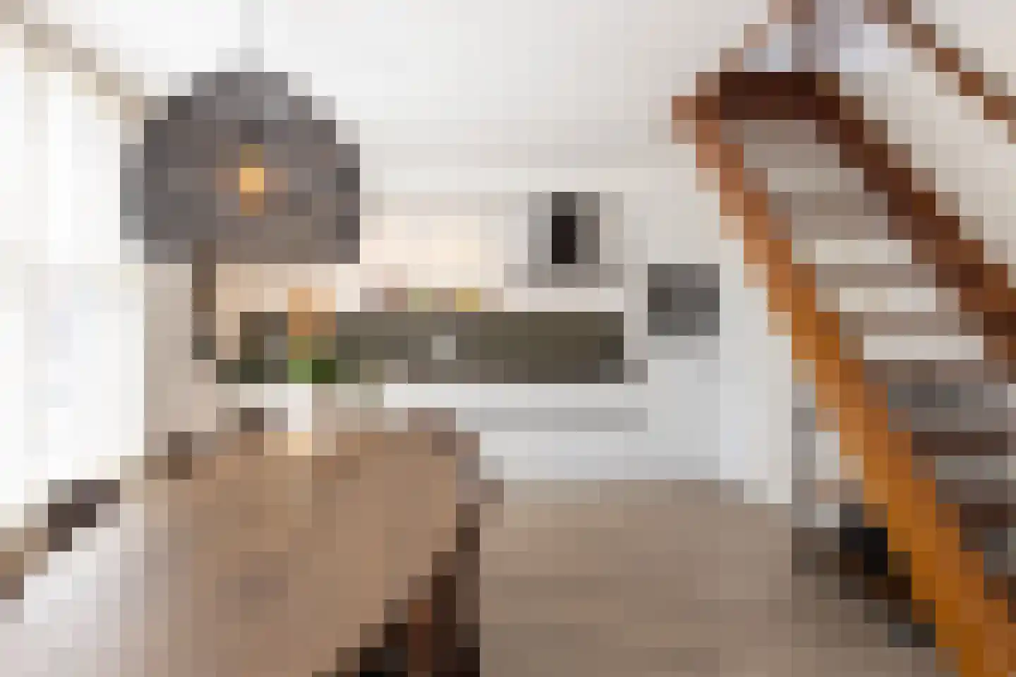 Muraltplein 24 Borculo thumbnail 17