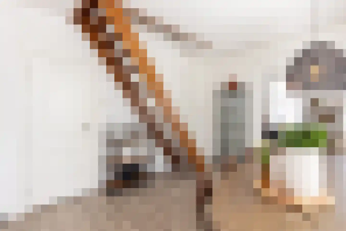 Muraltplein 24 Borculo thumbnail 19