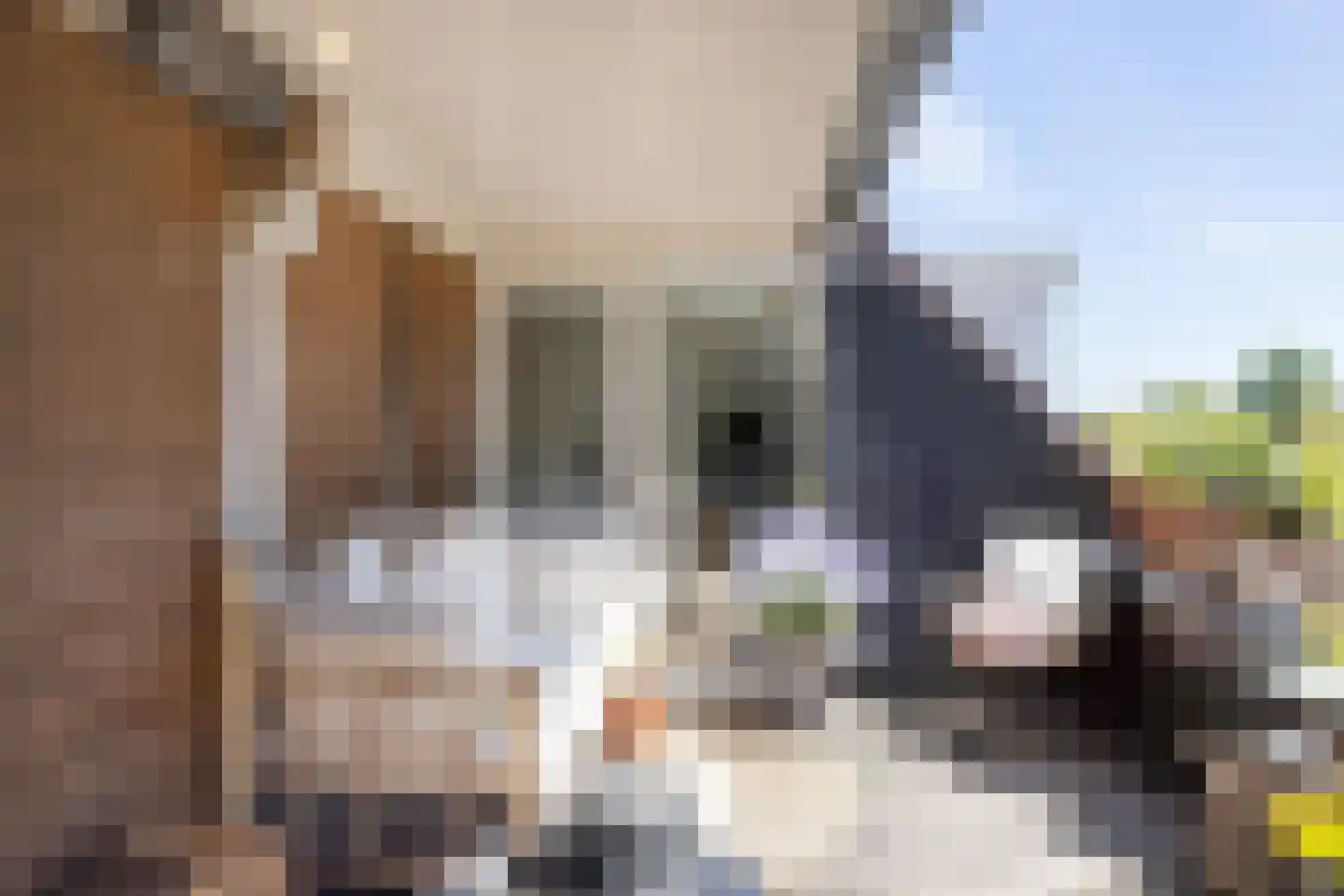 Muraltplein 24 Borculo thumbnail 4