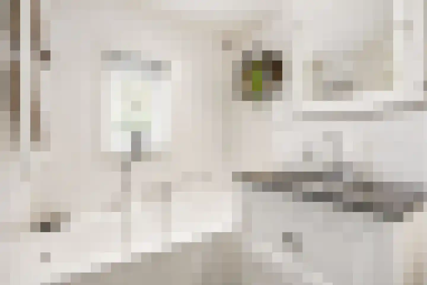 Murenepad 13 Almere thumbnail 22