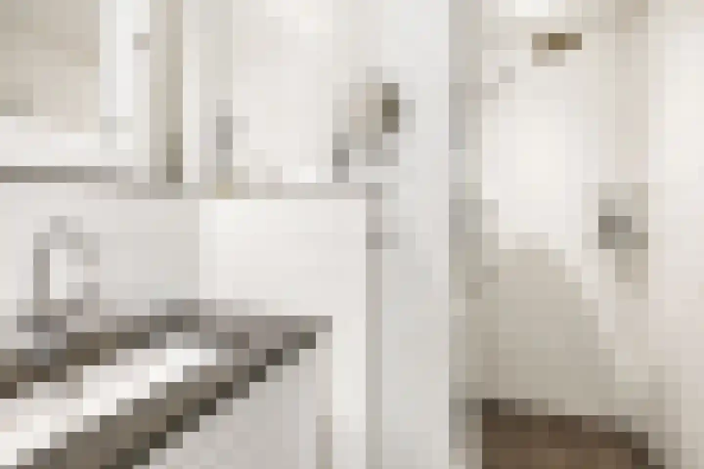Murenepad 13 Almere thumbnail 23