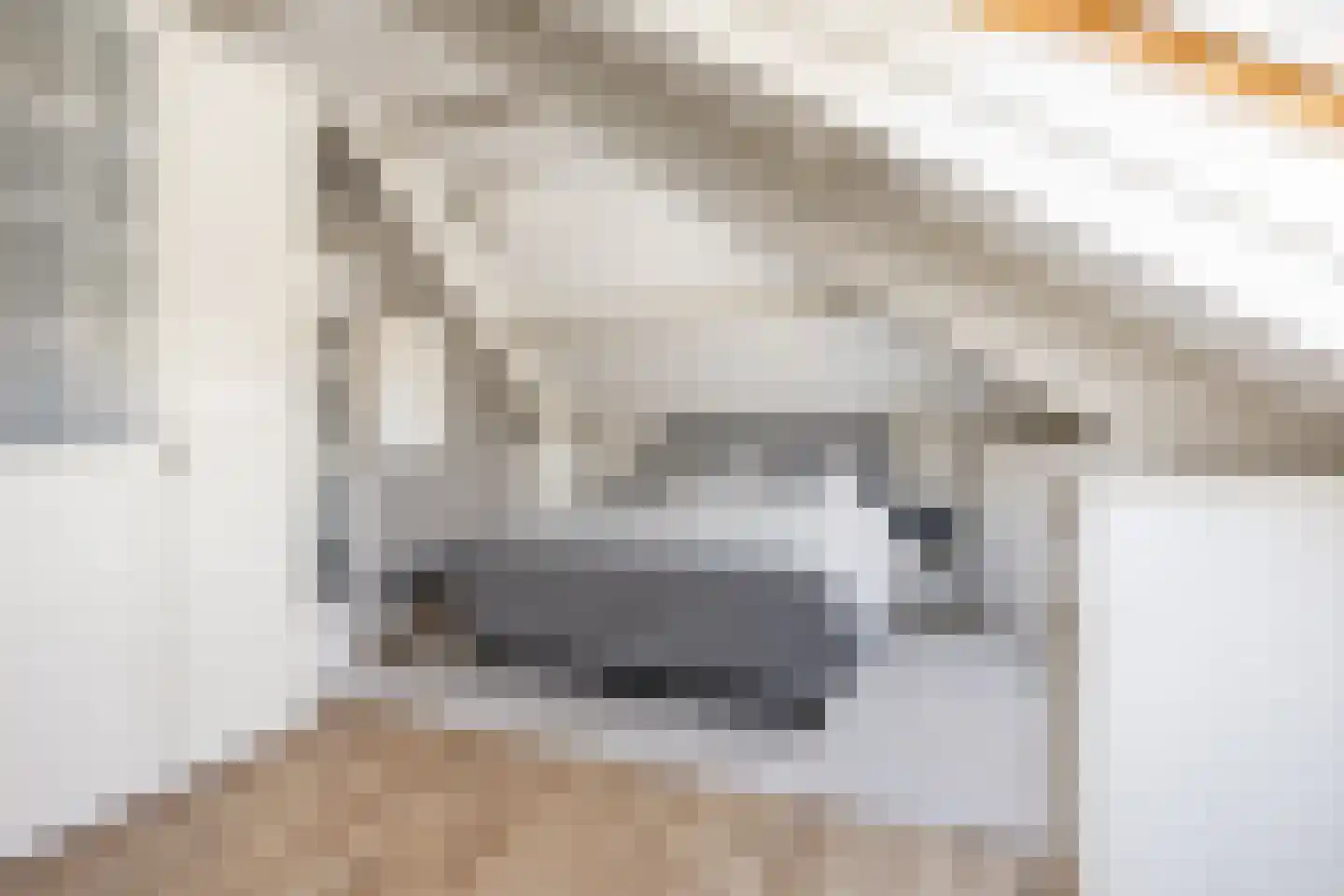 Murenepad 13 Almere thumbnail 26