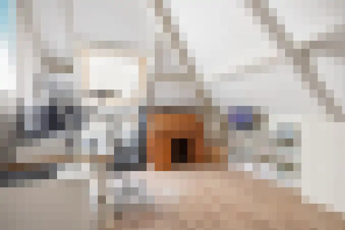 Murenepad 13 Almere thumbnail 30