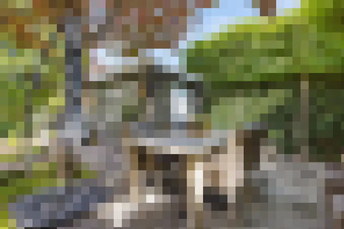 Murenepad 13 Almere thumbnail 39