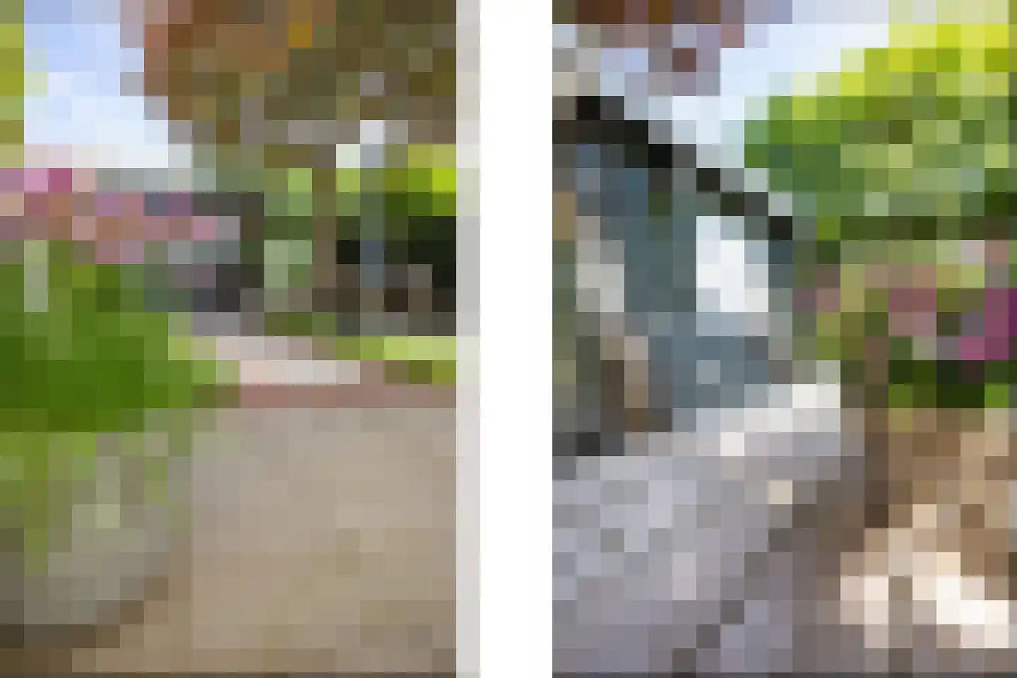 Murenepad 13 Almere thumbnail 40