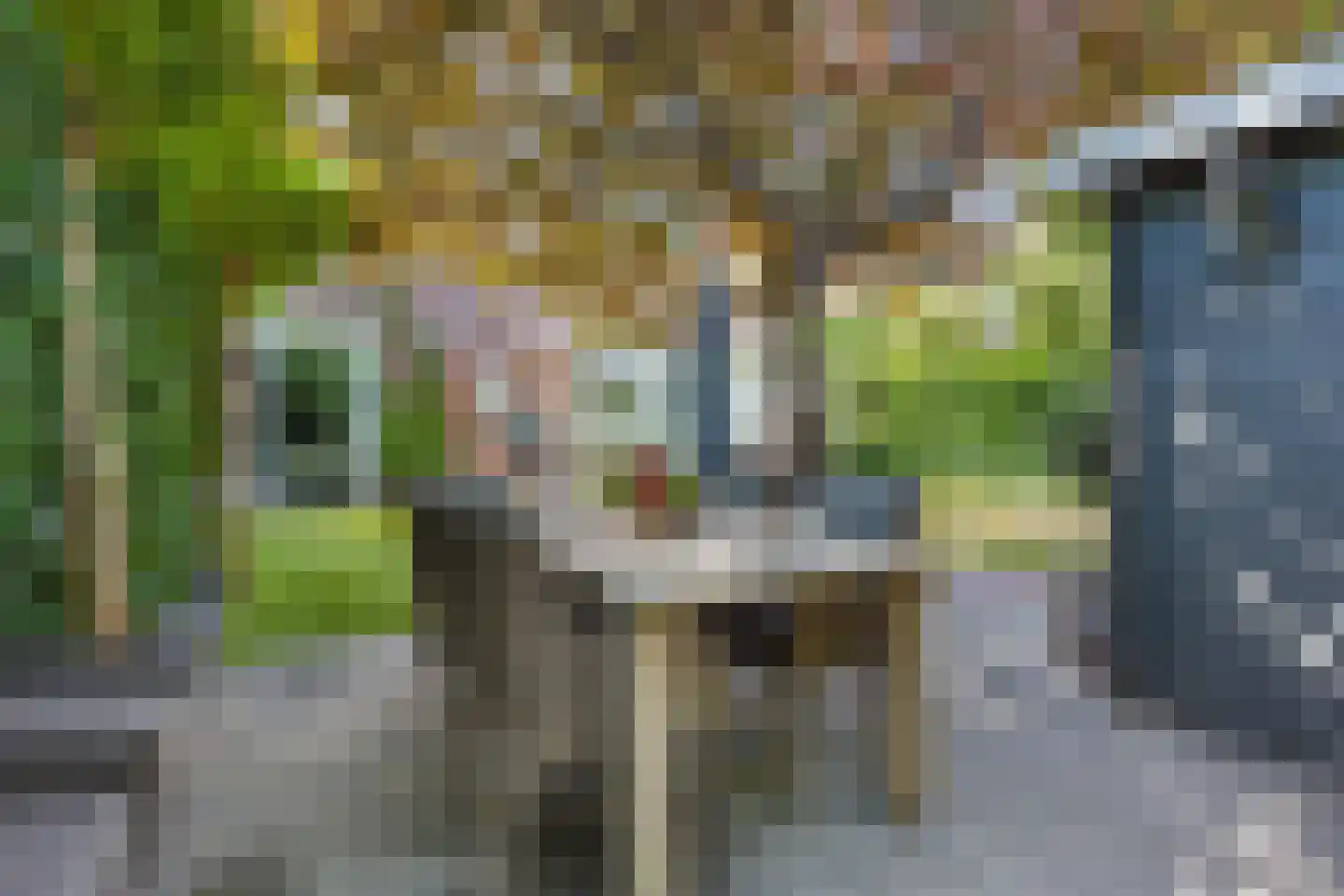 Murenepad 13 Almere thumbnail 41