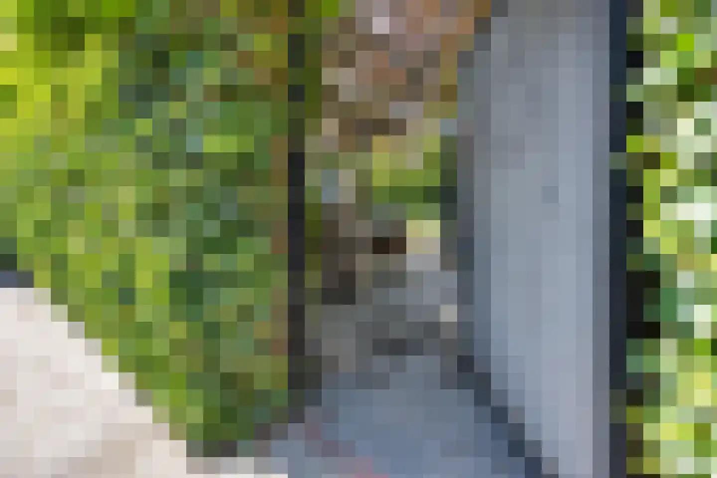 Murenepad 13 Almere thumbnail 46