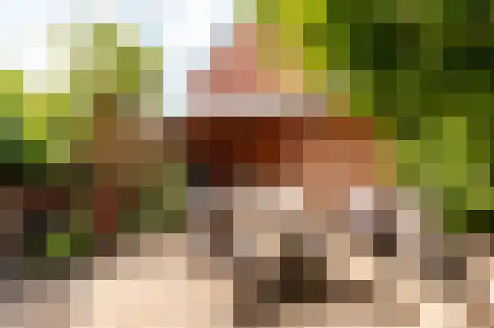 Murenepad 18 Almere thumbnail 27