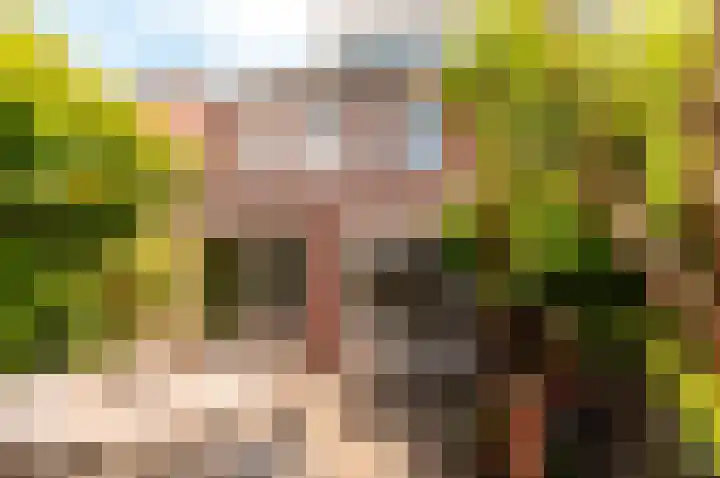 Murenepad 18 Almere thumbnail 28