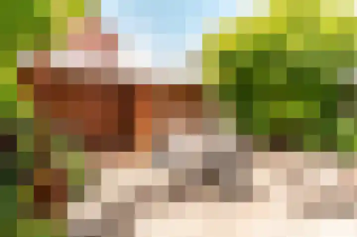 Murenepad 18 Almere thumbnail 29